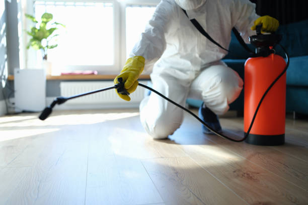 Trusted Sewage Cleanup service in Oak Park, IL - Four Month Blood Cleanse